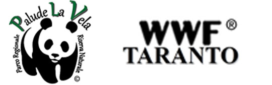 70. WWF - Taranto